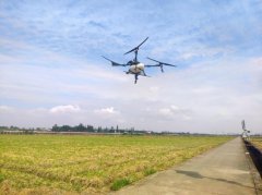 这款健康代糖的终究能够抵达国人的舌